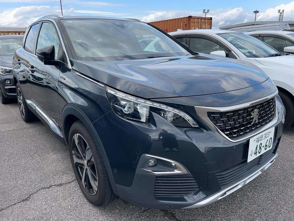 X6 Peugeot 3008 2018/20