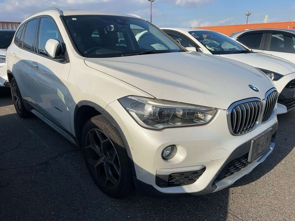 X5 2018/19 BMW X1 X-Line X-Drive (AWD)